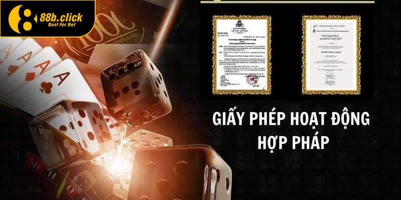 Giấy Phép Hoạt Động