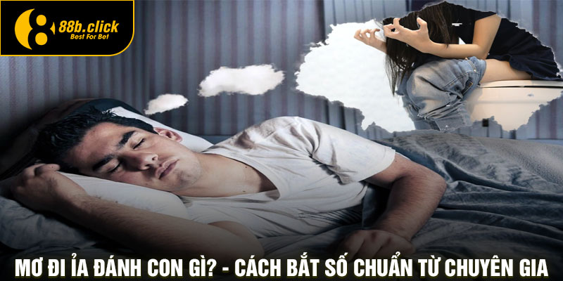 Mơ Đi ỉa Đánh Con Gì