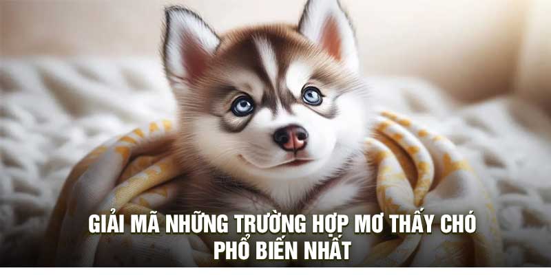 Giải Mã Những Trường Hợp Mơ Thấy Chó Phổ Biến Nhất